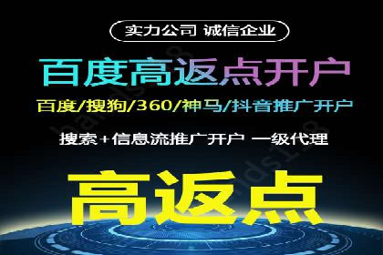 百度推广在电商行业的应用案例分析