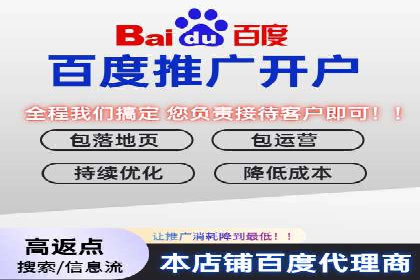 搜索引擎优化（SEM）在移动端的实践案例